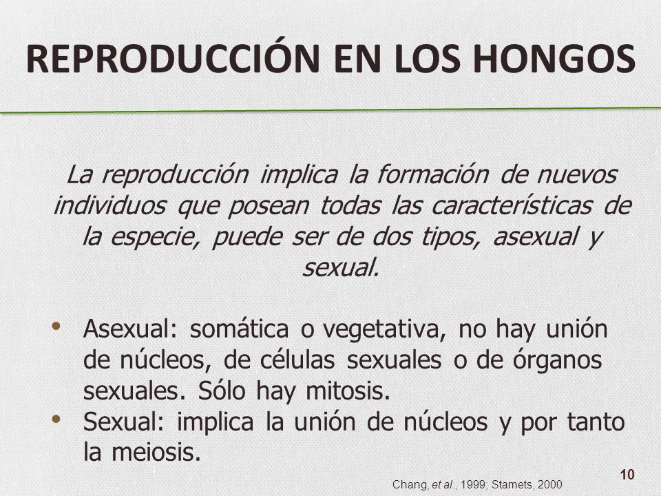 Mikozan para las uñas las revocaciones